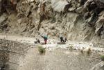 india_03_0011.jpg