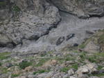 DSCN5547.jpg