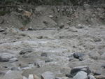 DSCN5559.jpg