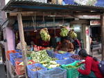 DSCN5603.jpg