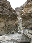 DSCN5627.jpg