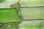 Fields_H7.jpg
