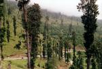 india_03_0040.jpg