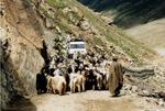 india_03_0050.jpg