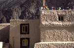 Head_lama_house_Ai.jpg