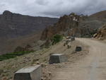 DSCN5739.jpg