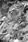 Rockformations_2_H.jpg