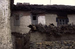 House_in_Kibber_Ai.jpg