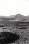 india_03_0076.jpg