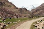 india_03_0088.jpg