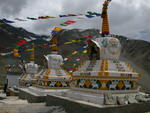 DSCN5784.jpg
