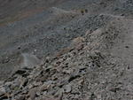 DSCN5785.jpg