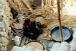 india_03_0142.jpg
