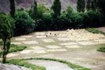 india_03_0145.jpg