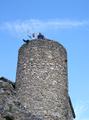 CIMG0830.jpg