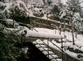 CIMG0447.jpg