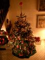 Christmas 2005, Biogno