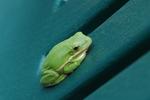 DSC_0675b.jpg
