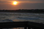 DSC_0704.JPG