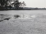 DSCN6690.JPG