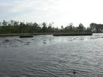 DSCN6694.JPG