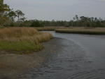 DSCN6697.JPG