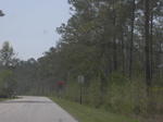 DSCN6744.JPG