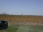 DSCN6747.JPG