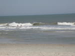 DSCN6766.JPG