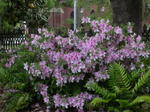 DSCN6841.JPG