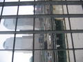 IMG_1339.jpg