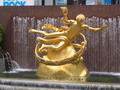 IMG_1423.jpg