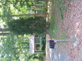 IMG_1637.jpg