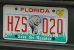 florida2.jpg