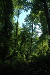 DSC_0731.JPG