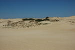 DSC_0747.JPG