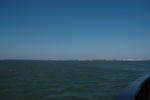 DSC_0782.JPG