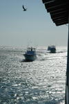 DSC_0788.JPG