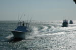 DSC_0789.JPG