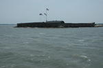 DSC_0979.JPG