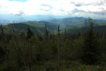 smokies1.jpg
