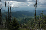 smokies10.jpg