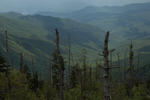 smokies2.jpg