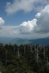 smokies5.JPG