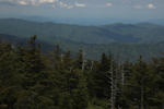 smokies6.jpg
