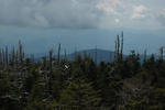 smokies7.jpg