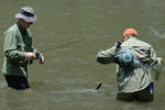 anothercatch.jpg
