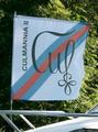 Culmannia