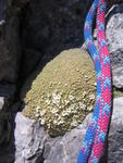 Climbing
