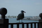 DSC_1150.JPG